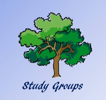 Study Groups